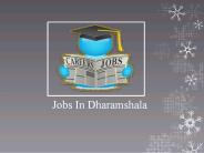 Jobs in Dharamshala