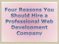 Hire a Professional Web Design and Development Company PowerPoint PPT Presentation