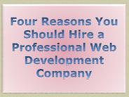 Hire a Professional Web Design and Development Company