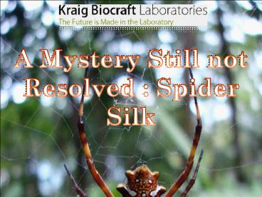 A Mystery Still not Resolved  Spider Silk