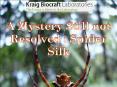 A Mystery Still not Resolved  Spider Silk PowerPoint PPT Presentation