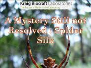 A Mystery Still not Resolved  Spider Silk