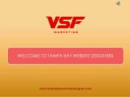 Tampa Based Websites Designer - Tampa Bay Website Designer