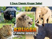 5 Days Classic Kruger Safari