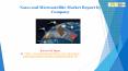 Nano and Microsatellite Market Report by Company PowerPoint PPT Presentation