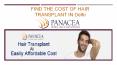 Hair Transplant Cost in Delhi, Cheapest Hair Transplant services PowerPoint PPT Presentation