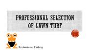 Professional Selection of Lawn Turf