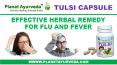 Tulsi for Flu, Allergy, Sinusitis, Infections & Fever - Tulsi Capsules PowerPoint PPT Presentation