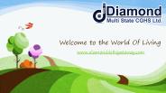 Delhi Diamond Gateway