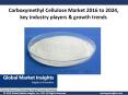 Carboxymethyl Cellulose Market growth outlook with industry review and forecast 2016-2024 PowerPoint PPT Presentation