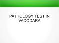 Vitamin B12  Test in Vadodara PowerPoint PPT Presentation