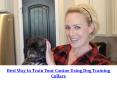Best Way to Train Your Canine Using Dog Training Collars PowerPoint PPT Presentation