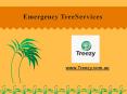 Emergency Tree Removal Brisbane South PowerPoint PPT Presentation