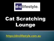 Cat Scratching Lounge
