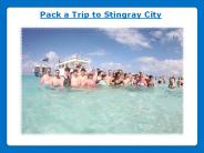 Pack a Trip to Stingray City