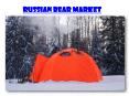 Russian Bear Market PowerPoint PPT Presentation