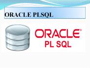Oracle PLSQL Training in Chennai
