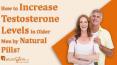 How to Increase Testosterone Levels in Older Men by Natural Pills?