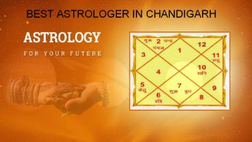 best astrologer in chandigarh