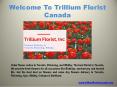 Flowers Shops Delivery to Toronto, Pickering, Whitby PowerPoint PPT Presentation