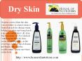 Dry Skin PowerPoint PPT Presentation
