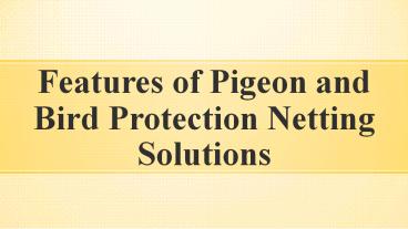 Features of Pigeon Protection Netting Solutions in India
