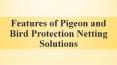 Features of Pigeon Protection Netting Solutions in India PowerPoint PPT Presentation