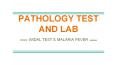 WIDAL TEST & MALARIA FEVER PowerPoint PPT Presentation