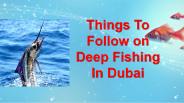 Things To Follow on Deep Fishing In Dubai