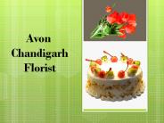 Flower Delivery in Chandigarh