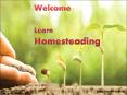 Learn Homesteading - Basic Steps To Start Homesteading PowerPoint PPT Presentation
