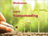 Learn Homesteading - Basic Steps To Start Homesteading