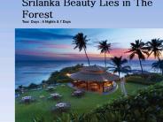 Best Srilanka Tour Packages From India