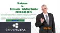Cryptopia helpline number PowerPoint PPT Presentation