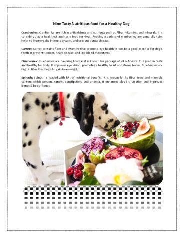 Nine Tasty Nutritious food for a Healthy Dog