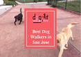 The benefits of choosing a Dog Walker in San Jose PowerPoint PPT Presentation