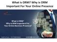 What is ORM? Why is ORM Important For Your Online Presence? PowerPoint PPT Presentation