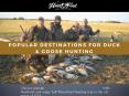 Popular Destinations for Duck & Goose Hunting PowerPoint PPT Presentation