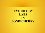 Glucose - Fasting Blood Test in Pondicherry