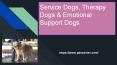 service dogs,therapy dog,emotional support dogs PowerPoint PPT Presentation