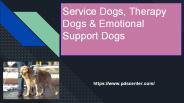 service dogs,therapy dog,emotional support dogs