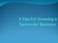 Grow your business succcessfully PowerPoint PPT Presentation