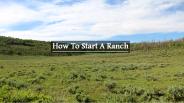 How to Start a Ranch