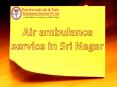 Get Affordable Air Ambulance Service in Sri Nagar with Minimum Cost PowerPoint PPT Presentation