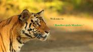 Bandhavgarh Meadows Wildlife Resort (1)