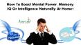 How to Boost Mental Power, Memory, IQ or Intelligence Naturally at Home? PowerPoint PPT Presentation