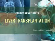 Survival Rate of Liver Transplant in India