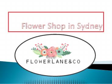 Affordable Wedding Flower Shop in Sydney -  Flowerlane & Co