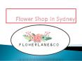 Affordable Wedding Flower Shop in Sydney -  Flowerlane & Co PowerPoint PPT Presentation