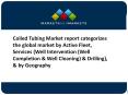 Coiled Tubing Market Company Profiles Analysis and Forecasts to 2020 PowerPoint PPT Presentation